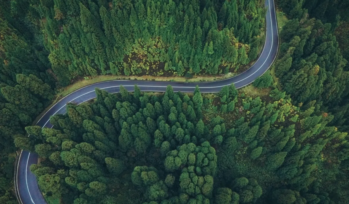 Curved road through forest representing strategic direction and leadership discernment.