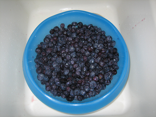 blueberry-jelly-1