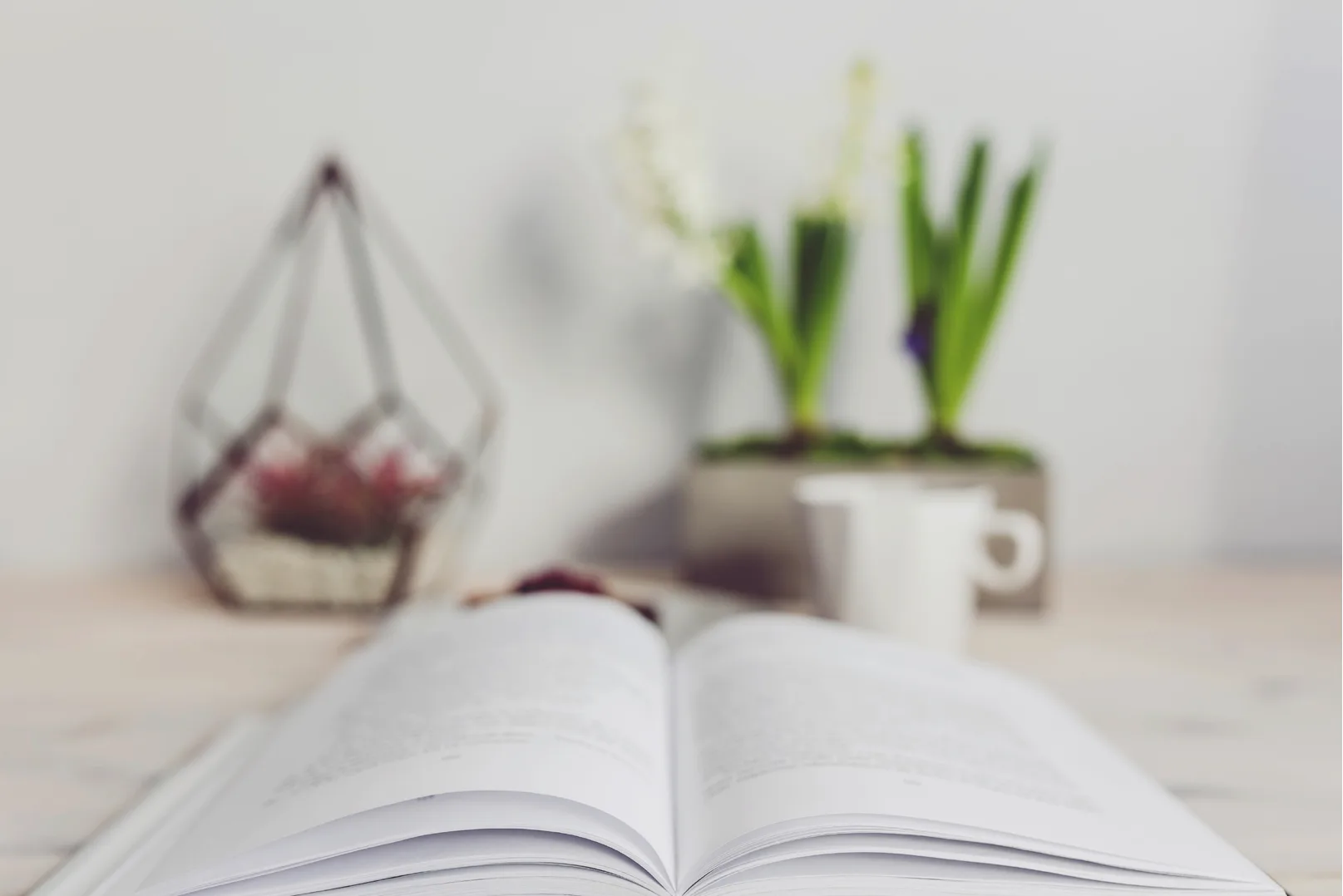 An open book on a desk