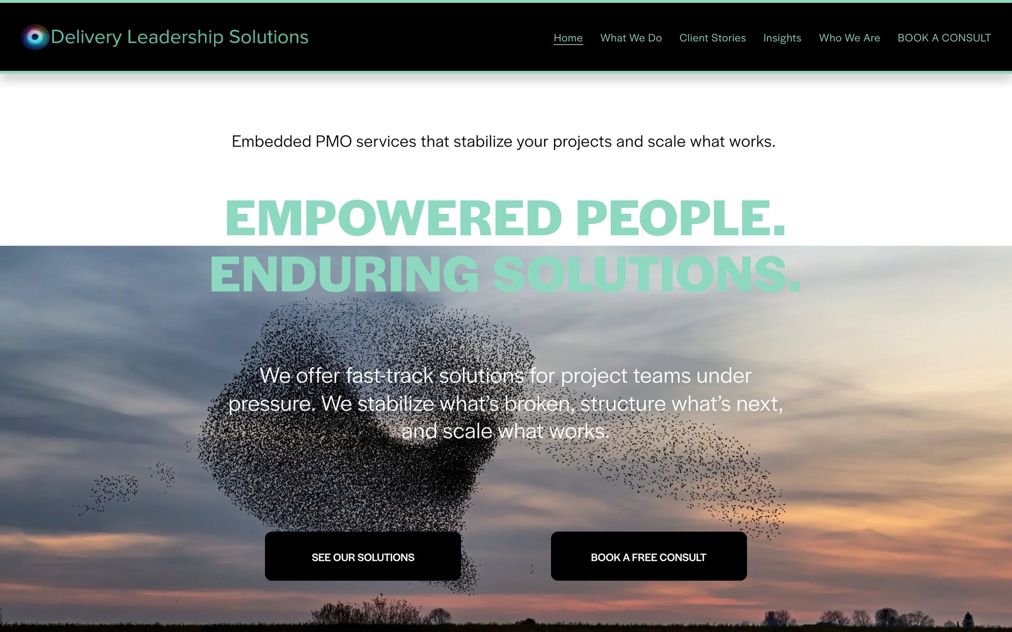 Delivery Leadership Solutions homepage with the copy Kate Hamilton rewrote: “We offer fast-track solutions for project teams under pressure.”