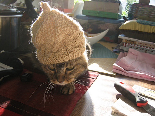 cat-hat-2