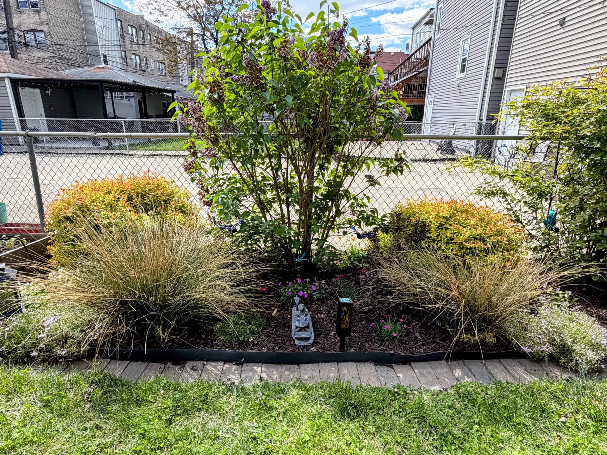 Chicago backyard garden in mid-May—a lilac tree in bloom flanked by ornamental grasses, perennial shrubs and a brick-edged border.