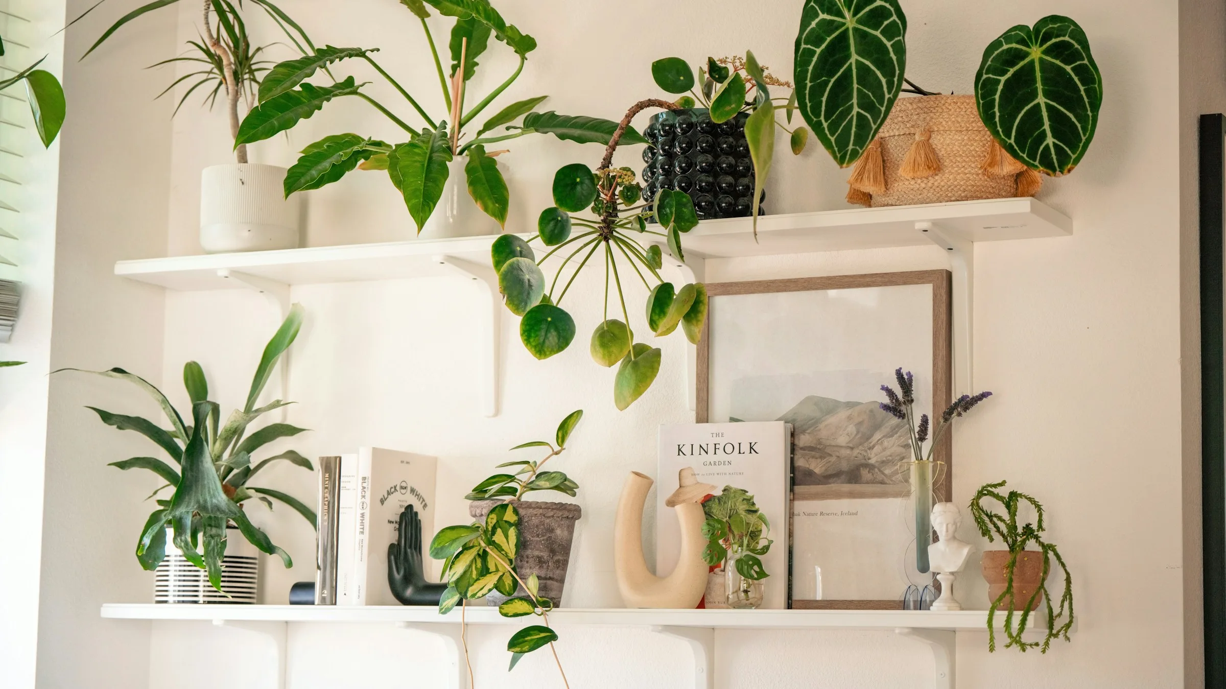 Shelf with indoor plants and neutral decor