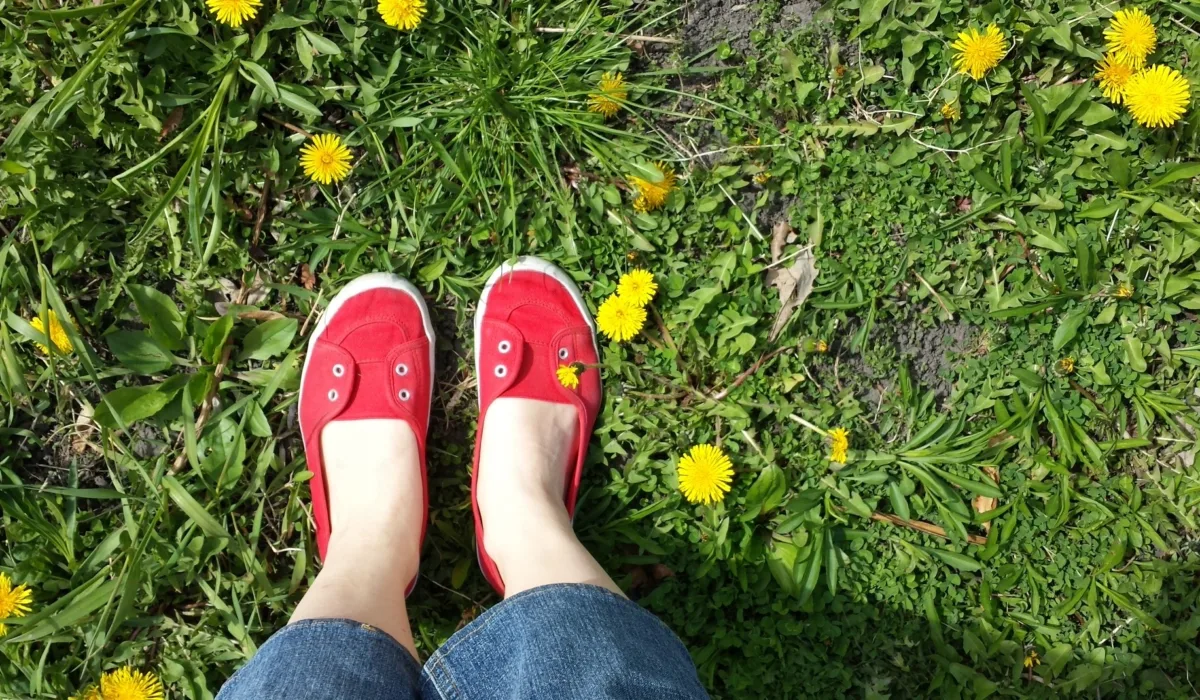 Red Shoes