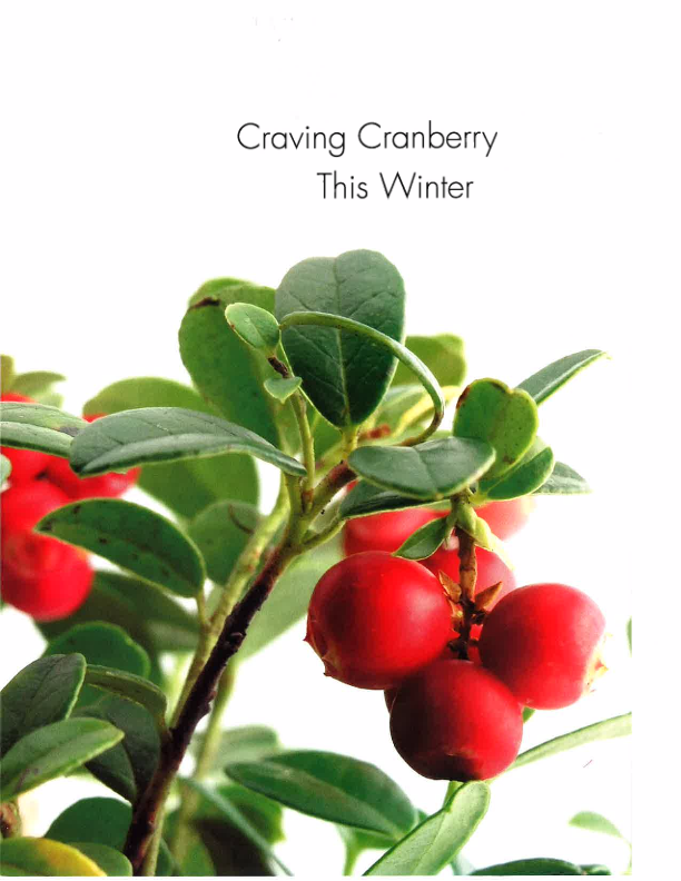 Craving Cranberry This Winter