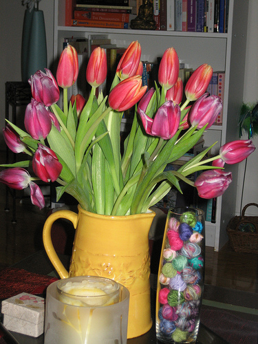 spring-tulips